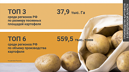 Глубокая переработка картофеля - ознакомительный фрагмент презентации - 3